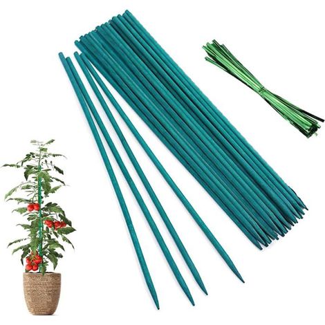Lot de 50 tuteurs en bambou de 30 cm de long, avec attaches, support stable pour orchidées et légumes, idéal pour le jardinage. (1/5)