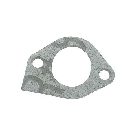 Junta carburador BRIGGS et STRATTON 270538 modelo 140000 - 170700 - 190700 - 191700