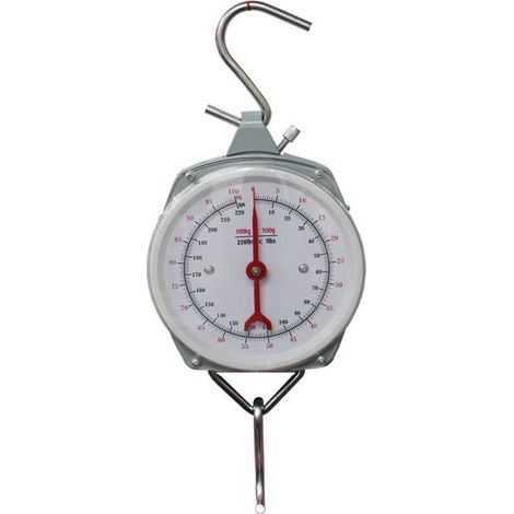 Professional 200 kg hanging scale crane scale loading scale scale scale scale of industrial scale First (1/5)
