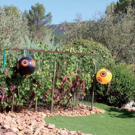 Palloncino spaventapasseri - Confezione da 3 - Giallo (1/2)