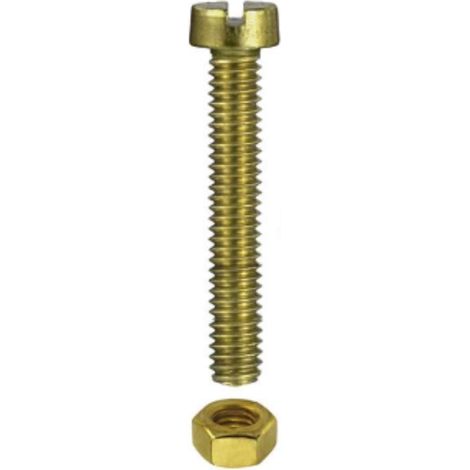CONFEZIONE DA 10 PEZZI - VITI RADIO FILETTATE A TESTA CILINDICA CON DADO 2x10MM - IN OTTONE