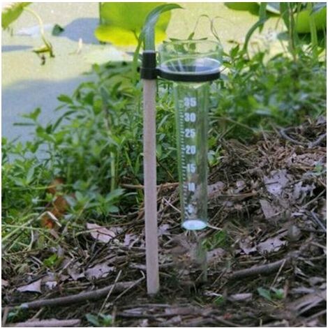 Pluviomètre simple Karteo en plastique PS avec bâton en bois, hauteur 36 cm, outil agricole précis pour mesure de pluie (1/5)