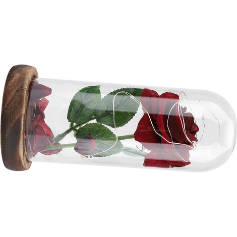 Roses préservées sous cloche en verre, roses rouges, un cadeau romantique pour la Saint-Valentin, piles incluses. (1/5)