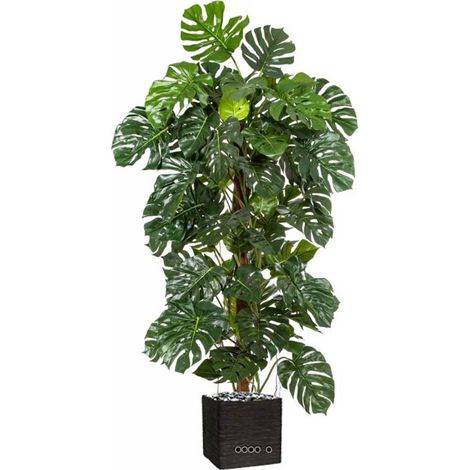 Monstera artificiel sur pied, en pot, H 160 cm - dimhaut: H 160 cm