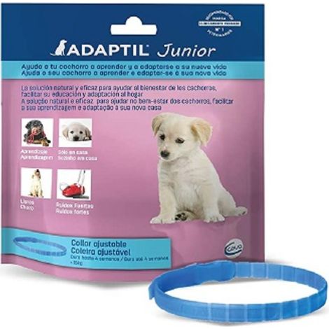Collier apaisant Ceva pour chiots juniors adapts