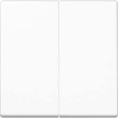 Jung Steuertaste 2fach Standard, Duroplast, Serie A, alpinweiß A1702WW (1/2)