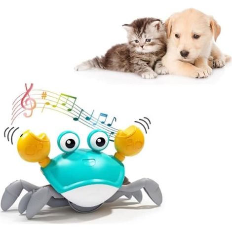 jouets interactifs for chien, jouets de crabe dansant avec musique, sons et lumières for chiens, chats, anim (1/4)
