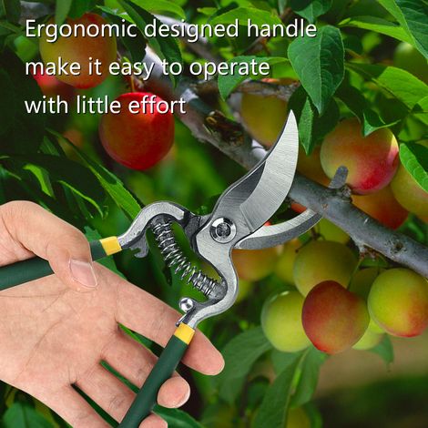1 Pièce Sécateur Robuste pour Arbre Fruitier Bonsaï Jardinage Cisaille Élagage Outil Greffe (1/5)