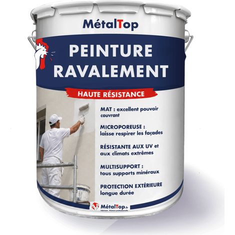 Peinture Ravalement - Gris fer - RAL 7011 - 5 L - Métaltop (1/5)