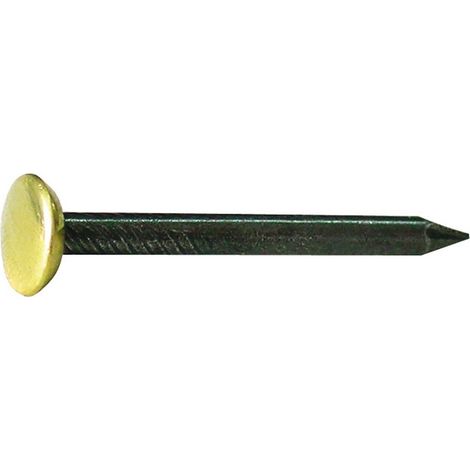 10CF CHIODO IN ACCIAIO CON TESTA IN OTTONE PZ.100  mm. 2x20