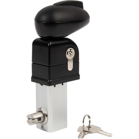 Locinox – Serrure électrique pour portillon de piscine – Mécanisme en acier inoxydable – Conforme norme NF P90-306 – Coloris noir – Pour profil 40mm (1/3)