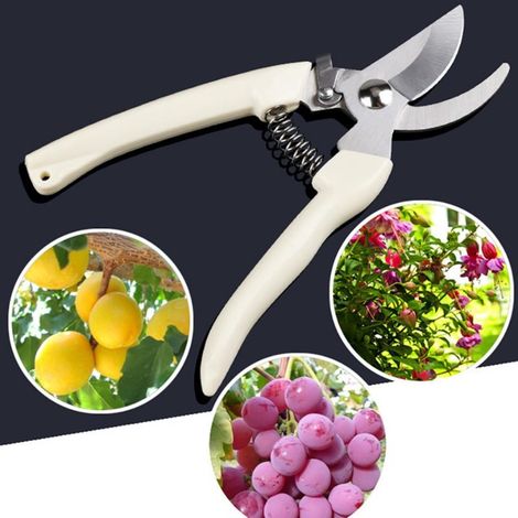 Sécateur de jardin en acier inoxydable (lot de 2) pour arbres fruitiers et fleurs (1/5)