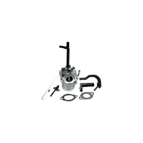 LAN TONCHEAN Vergaser 591378 Briggs & Stratton Schneepflug 699958 796321 696132 696133 Generator (1/5)