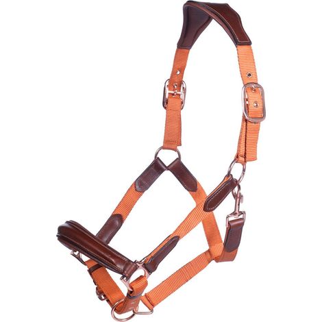 Capezza con nasalina e frontalino imbottiti modello Edinburgh: Pony, Verde Pistacchio 5100
