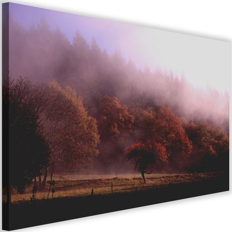 Tableau sur toile Forêt dans le brouillard Nature 60x40 (1/5)