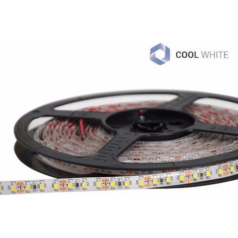 Striscia led 6000k 24v 9,6w/m 120led/m Ip65 5m Cl60048-5908