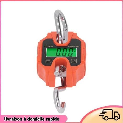 SABIR-Balance numérique miniature Dilwe pour grue, boîtier en ABS, outil de pesage suspendu industriel, balances à monter soi-même (1/4)