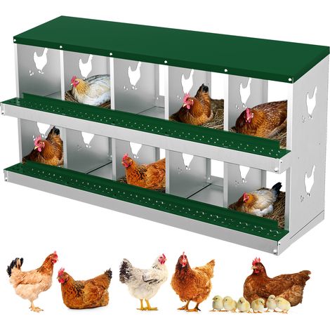 Egg Laying Box - 10 Grids - Green, Without Stand, Galvanised Steel - for Chicken Coop, Poultry, Farm (1/5)
