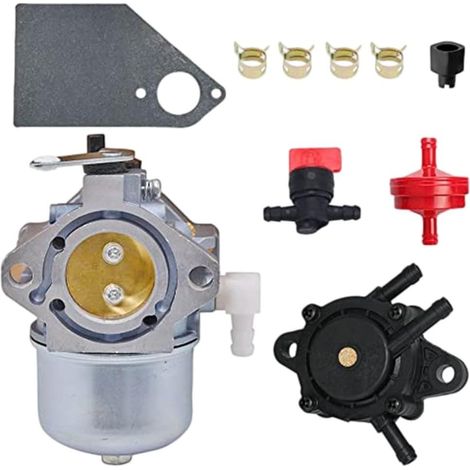 Carburateur 695503 Kit pour Pompe Acier pour Carburateur 695503 Acier pour robuste, pour pompe incluse, carburant, joints étanches, compatible tondeuses (1/5)