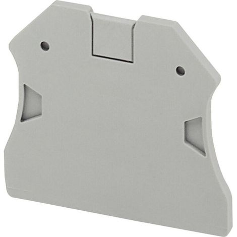 Cloison extremité 2 pts largeur 22mm pour borne à vis NSYTRV22-TRV62-TRV102 SCHNEIDER NSYTRAC22