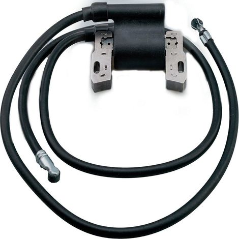 Le transformateur haute tension de la bobine d'allumage convient aux références 590781, 392329, 394891 et 394988. (1/3)