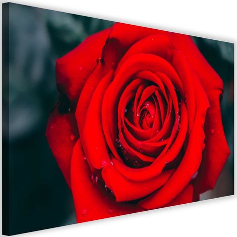 Tableau sur toile Belle fleur de rose rouge 60x40 (1/5)