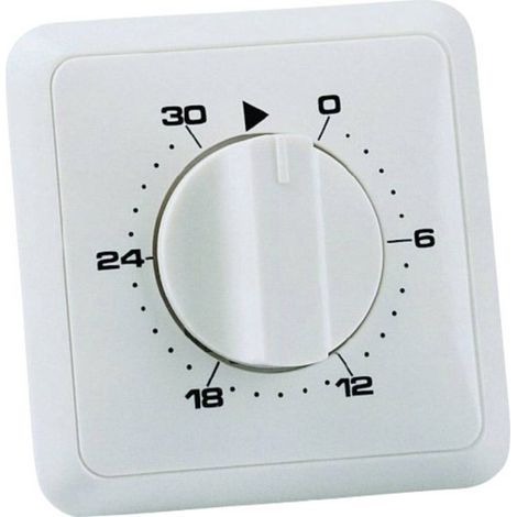 Wallair 20100249 programmatore bianco 30 minuti