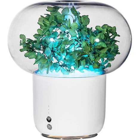 Diffuseur huiles essentielles 200 ml ultrasonique, humidificateur aromathérapie maison (1/5)