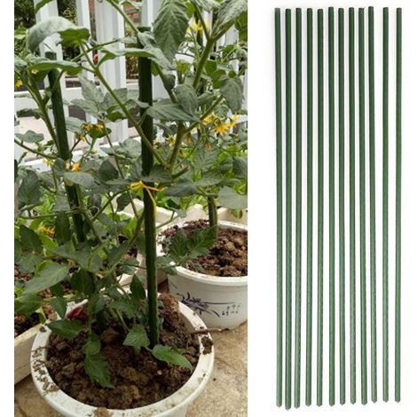 Juego de 12 soportes para plantas de tomate y pepino, soportes para plantas de invernadero, estacas de metal recubiertas de plástico, 75 cm/0,75 m, duraderas y multifuncionales. (1/5)