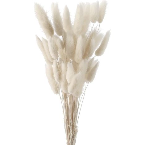50PCS Herbe Queue de Lapin Séchée Herbe De La Pampa Fleurs Séchées (1/5)