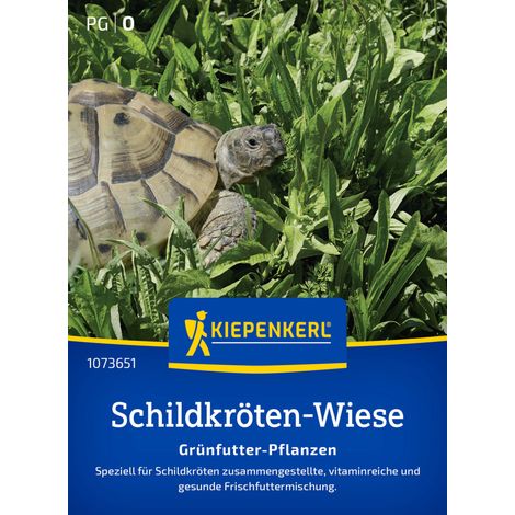 Kiepenkerl Saatgut Schildkröten-Mischung Grünfutter-Pflanzen für ca. 1-2 m² (1/2)
