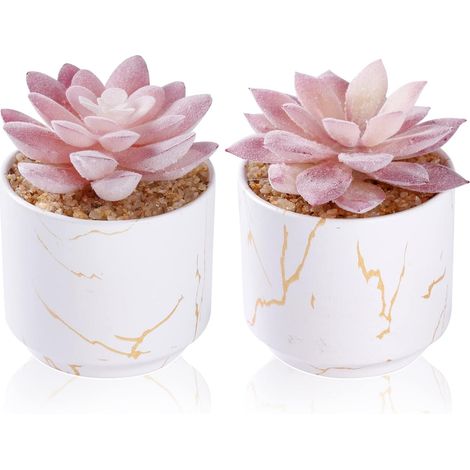 Piante grasse artificiali in due vasi di ceramica bianca, ideali per ufficio, studio, bagno, camera da letto, decorazione estetica per ufficio femminile