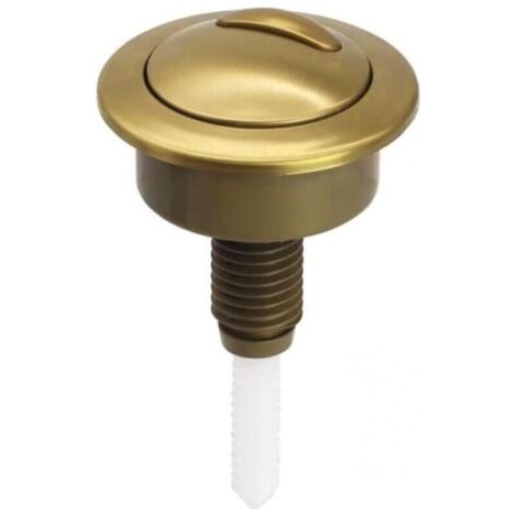 Bouton Poussoir Chasse d'Eau Doré Brossé Remplacement pour Réservoir WC Twyford Optima 49 (1/5)