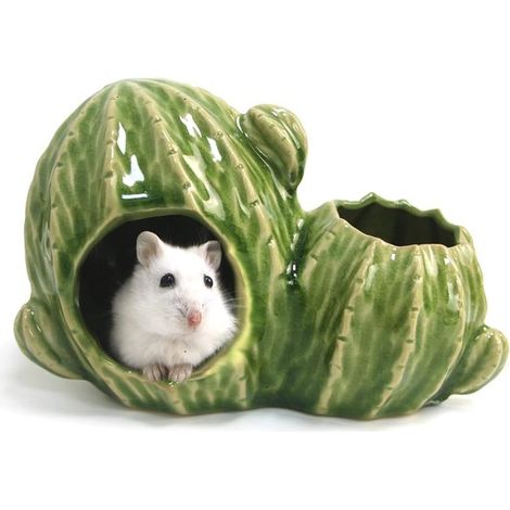 Maison en céramique pour hamster - Enclos pour petits animaux - Cachette sécurisée - Double porte d'aération - 16 x 10 x 11 cm - Vert clair (1/5)
