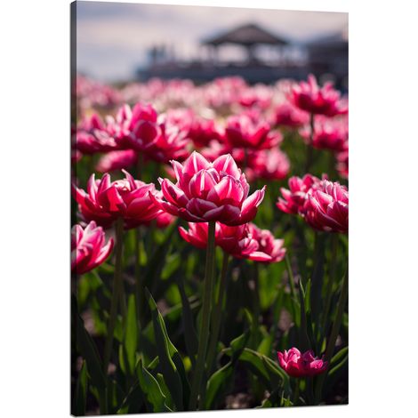 Leinwanddruck Botanik Tulpen Blumen 80x120 Blumenstrauß