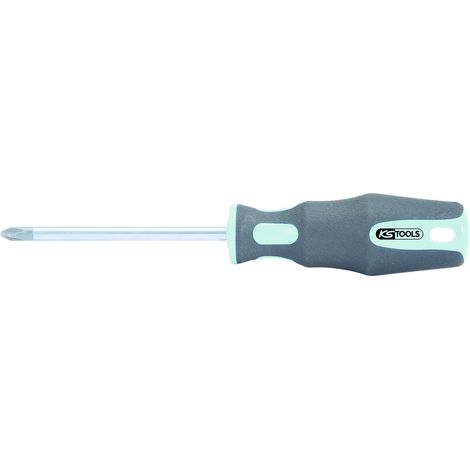 Destornillador de acero inoxidable Phillips, PH2 - Longitud 100 mm