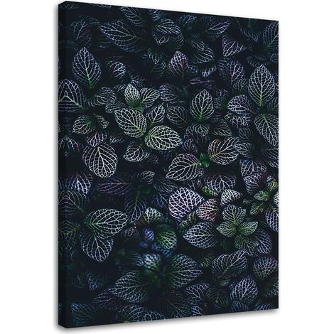 Quadro su tela, Foglie viola Natura - 60x90 (1/5)