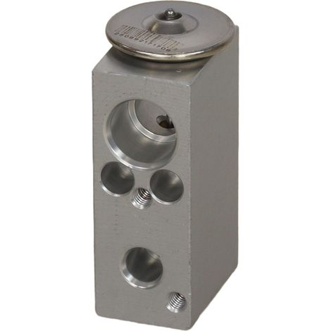 Válvula climática rápida FT13876 (1/4)