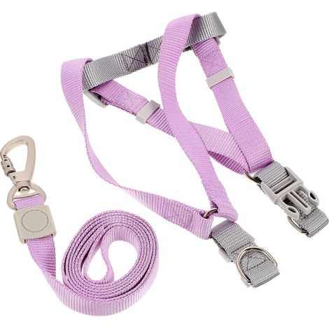 Conjunto de arnés y correa ajustables para perros (3 unidades) para el adiestramiento de cachorros. (1/5)