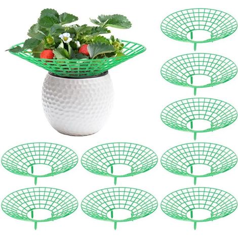 (B) 5 supports verts pour fraisiers et pastèques, protège-plantes à 3 pieds, accessoires de jardinage faciles à monter (1/4)