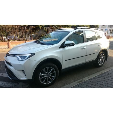 Tiras protectoras negras para las puertas laterales del Toyota RAV4 IV (1/5)