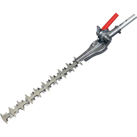 APPLICAZIONE TAGLIASIEPI  DS 2410/3000 D