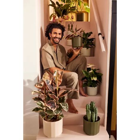 Vasi Elho Facet Round 17 Forest Green – Design Moderno - Colore: Verde