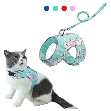 Porte-chat et laisse de transport anti-fuites réglables en maille souple pour chat de petite et moyenne taille Gilet chaton avec bandes réfléchissantes Convient pour courir et marcher Vert (1/3)