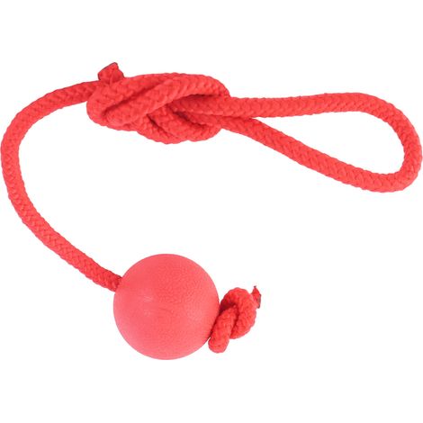 Balle interactive pour chien avec corde, résistante aux morsures, en caoutchouc sûr, idéale pour l'entraînement en extérieur (5 cm / 2 pouces). (1/5)