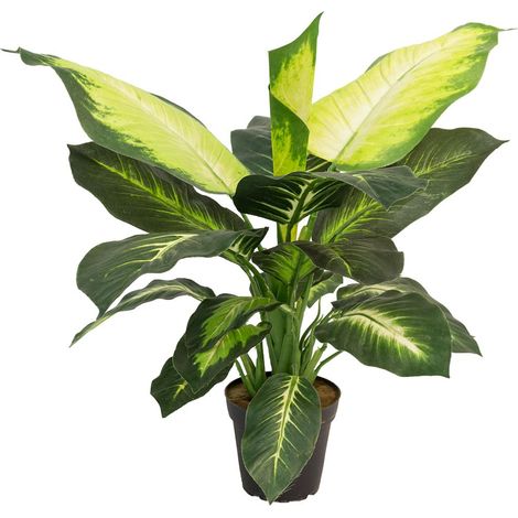Dieffenbachia artificiel H 60 cm, grandes feuilles, D 57 cm (1/2)