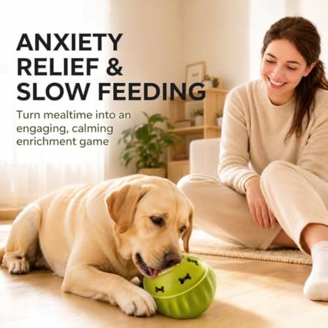 Balle surgelée pour chien Jouet d'intelligence avec 2 compartiments de (1/4)