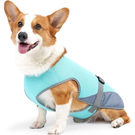 Kühlweste für Hunde, sicherer Mantel für sommerlichen Sonnenschutz, atmungsaktive Kühlweste aus Netzgewebe, Bekleidung (1/5)