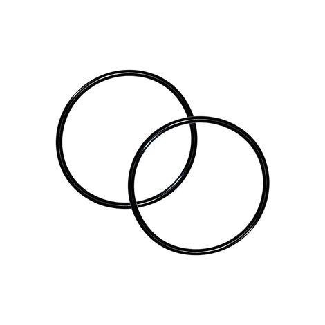 Joint torique d étanchéité 6020018 350099 – Compatible raccord Pentair 350157 351157 – Remplacement durable-40X