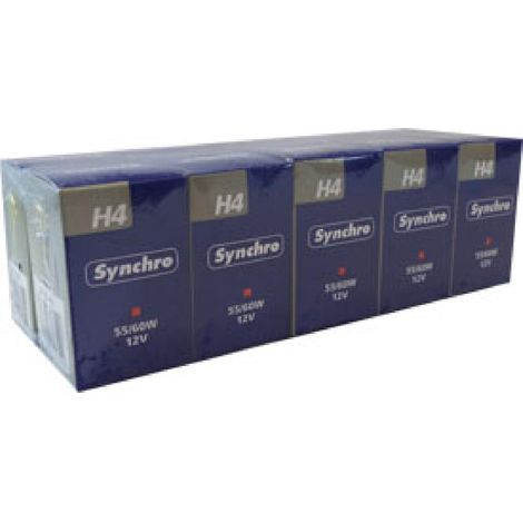 10 ampoules H4 -carton- 12V 5560W